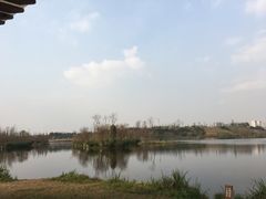 -白鹭湾湿地公园