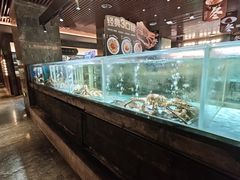 -紫阳海鲜楼·传承闽味(长乐路总店)
