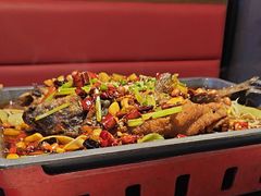 -美蛙四季(黄寺大街店)