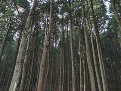 -含鄱口