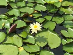 -昆山城市生态森林公园