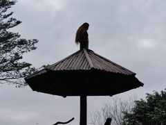 -广州长隆野生动物世界