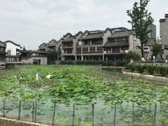 -龙潭水乡