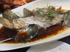 -羲和雅苑•北京烤鸭(平安国际金融中心店)