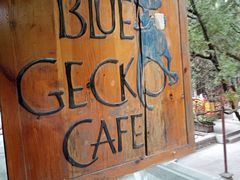 -蓝壁虎咖啡酒馆