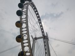 -北京石景山游乐园