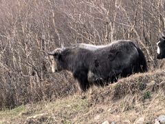 -赣南人家(顺义后沙峪亚朵店)