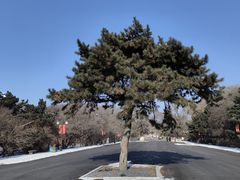 -北陵公园