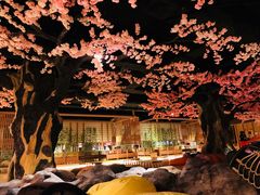 -蓝鲸湾汤泉(包河店)