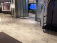 -新加坡乌节希尔顿酒店 (SG Clean)