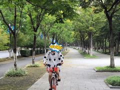 -尚贤河湿地