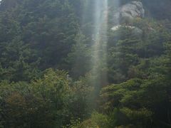 -沂蒙山旅游区云蒙景区(蒙山国家森林公园)