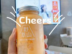 -野萃山·潮汕厚果汁(十亩地店)