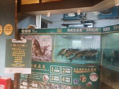 -老傅家湘潭水煮活鱼店(众一国际店)