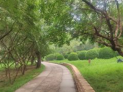 -元大都城垣遗址公园