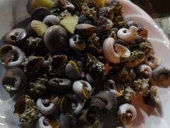 杂螺-天天渔港海鲜酒家(石浦玉泉路店)