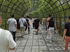 -常德桃花源景区