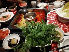 招牌麻辣锅底-渝利重庆火锅