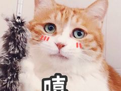 -眷茶(大卫城10楼店)