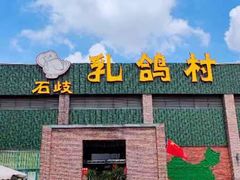 -石岐乳鸽村(南海第三分店)