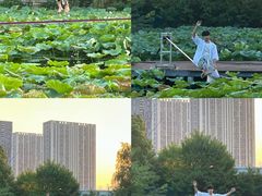 -海合安武汉极地海洋公园