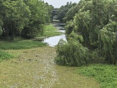 -梁鸿国家湿地公园