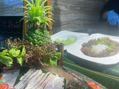 -威珀斯酒店·珀萃美食餐厅 | 海鲜刺身·现烤生蚝·特色烤肉
