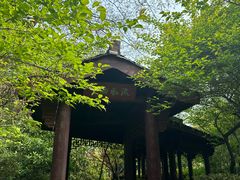 -杭州半山国家森林公园