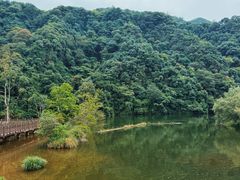 -五泄景区