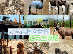 -大连森林动物园