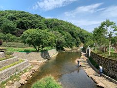 -北仑森林植物园