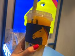 -春丽小马(济南恒隆广场店)