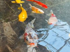 -天津海河悦榕庄·Lobby Lounge大堂吧