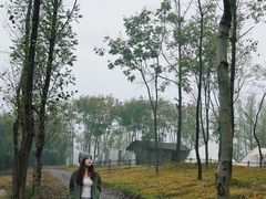 -羊楼洞