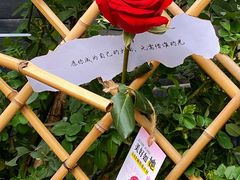 -苏家巷36号公馆