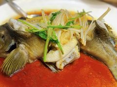 -77号渔船·蒸海鲜青岛菜(积米崖店)