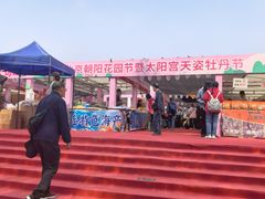 -太阳宫公园