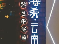 -云海肴·汽锅鸡·云南菜(天津国金汇店)