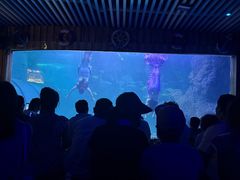 -左海海底世界