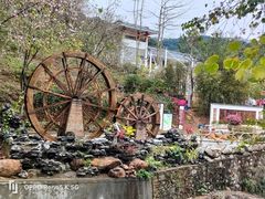 -广州白江湖森林公园