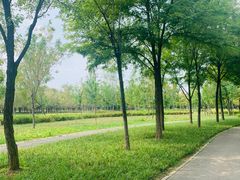 -东郊湿地公园