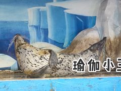 -台州海洋世界