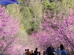 -天台山赤城山景区