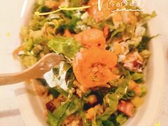 -油梨树 AVOCADO TREE(亮马桥店)