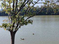 -艾溪湖湿地公园