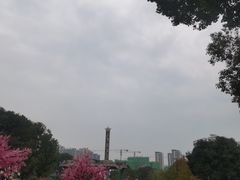 -南湖梦幻岛