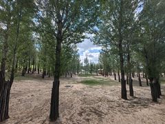 -鄂尔多斯野生动物园