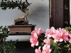 -个园