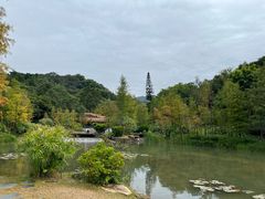 -云溪植物园