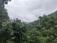 -野象谷景区